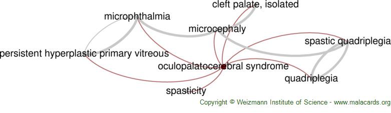 Diseases related to Oculopalatocerebral Syndrome