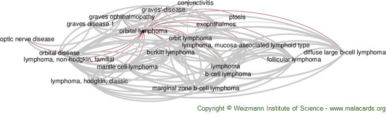 Diseases related to Orbital Lymphoma