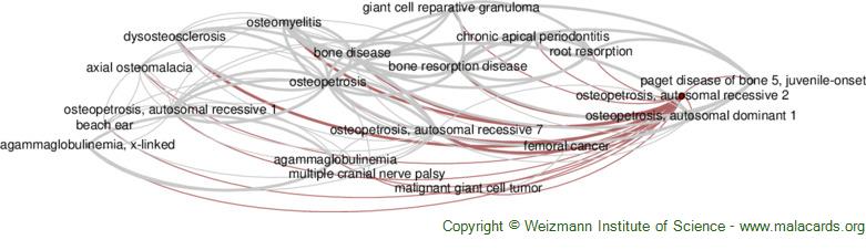 Diseases related to Osteopetrosis, Autosomal Recessive 2