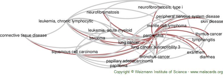 Diseases related to Paronychia