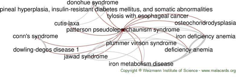 Diseases related to Patterson Pseudoleprechaunism Syndrome