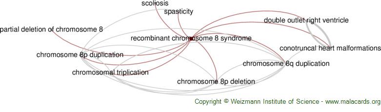 Diseases related to Recombinant Chromosome 8 Syndrome