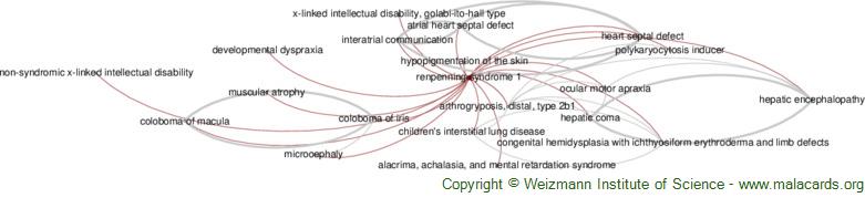 Diseases related to Renpenning Syndrome 1