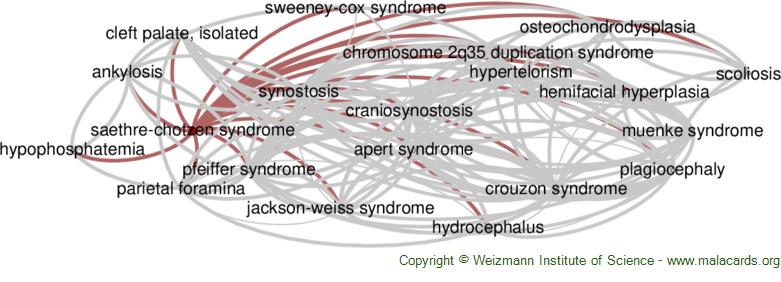 Diseases related to Saethre-Chotzen Syndrome