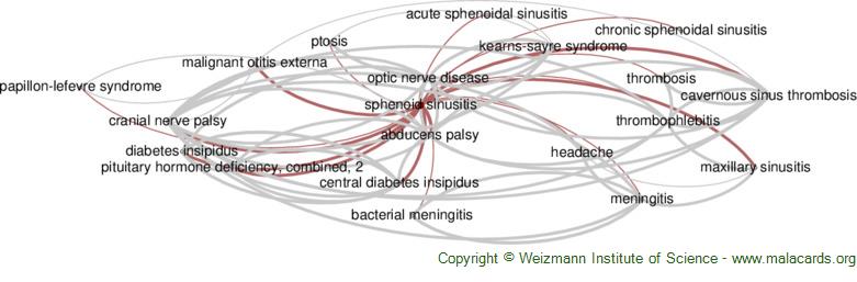 Diseases related to Sphenoid Sinusitis