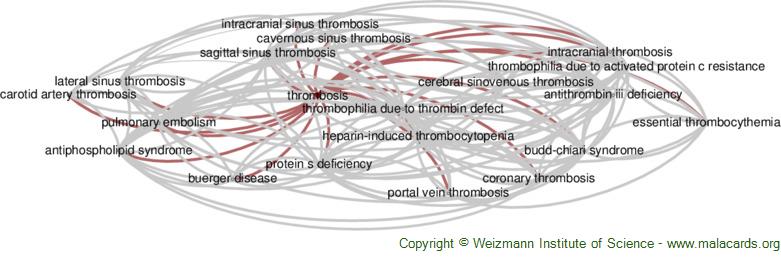 Diseases related to Thrombosis