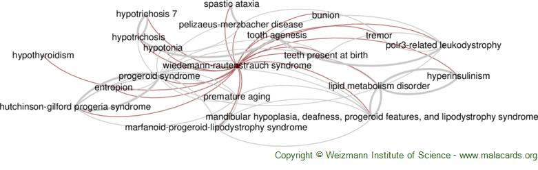Diseases related to Wiedemann-Rautenstrauch Syndrome