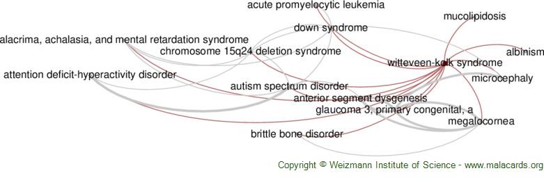 Diseases related to Witteveen-Kolk Syndrome