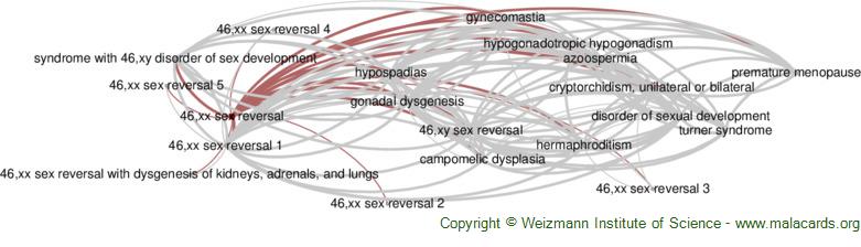 Diseases related to 46,xx Sex Reversal