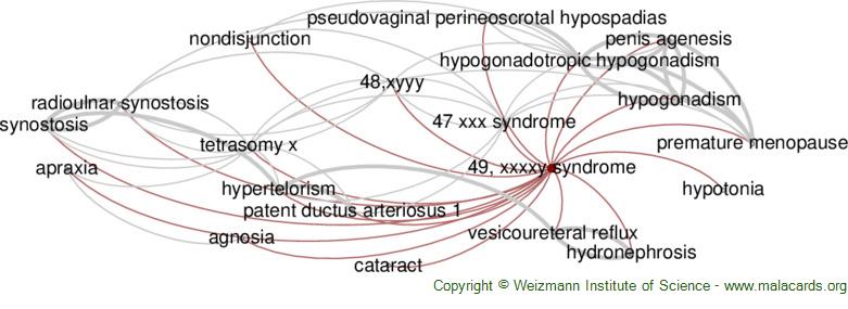 Diseases related to 49, Xxxxy Syndrome