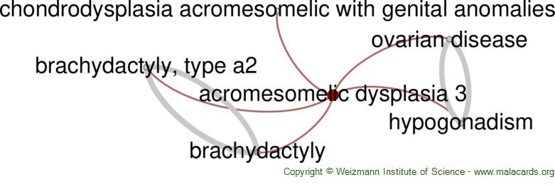 Diseases related to Acromesomelic Dysplasia 3