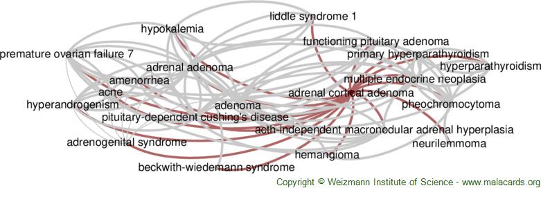 Diseases related to Adrenal Cortical Adenoma