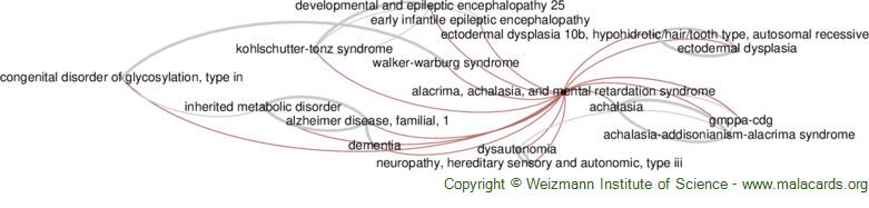 Diseases related to Alacrima, Achalasia, and Mental Retardation Syndrome