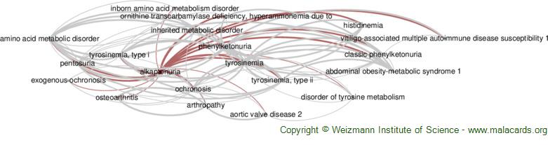Diseases related to Alkaptonuria