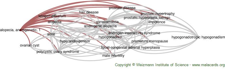 Diseases related to Alopecia, Androgenetic, 1