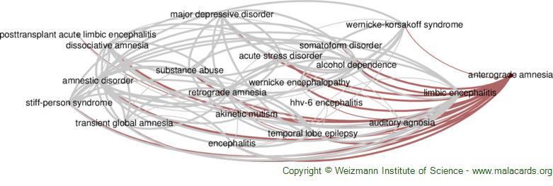 Diseases related to Anterograde Amnesia