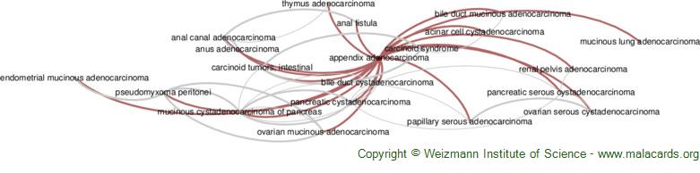 Diseases related to Appendix Adenocarcinoma