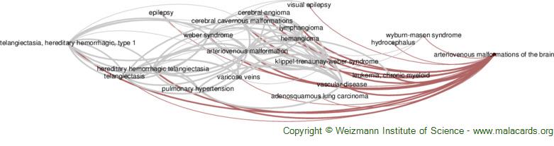 Diseases related to Arteriovenous Malformations of the Brain