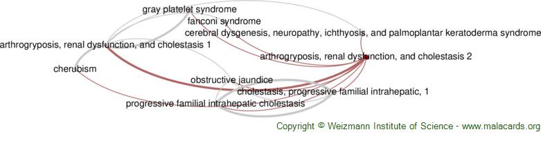 Diseases related to Arthrogryposis, Renal Dysfunction, and Cholestasis 2