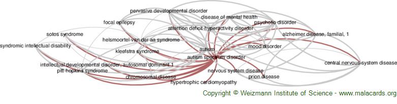 Diseases related to Autism Spectrum Disorder