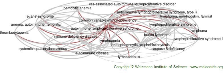 Diseases related to Autoimmune Lymphoproliferative Syndrome
