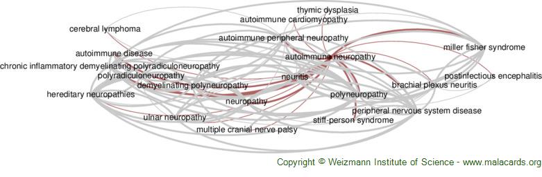 Diseases related to Autoimmune Neuropathy