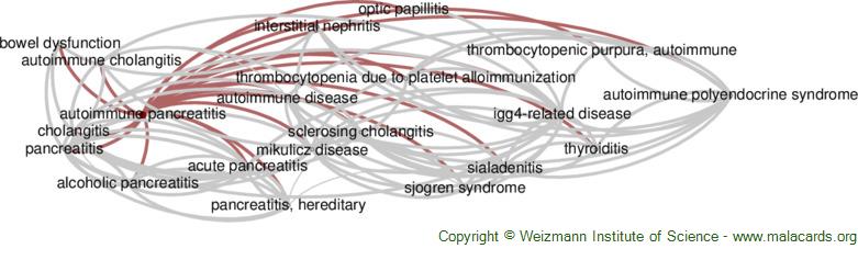 Diseases related to Autoimmune Pancreatitis