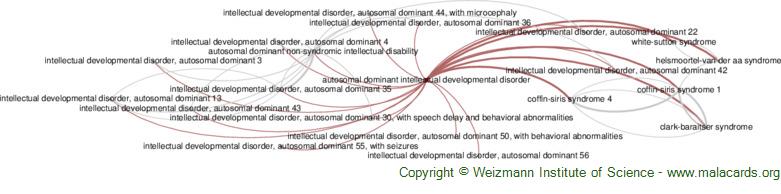 Diseases related to Autosomal Dominant Intellectual Developmental Disorder