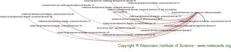 Diseases related to Autosomal Dominant Non-Syndromic Intellectual Disability