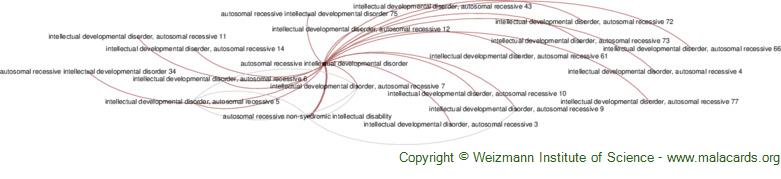 Diseases related to Autosomal Recessive Intellectual Developmental Disorder