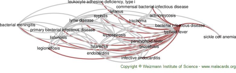 Diseases related to Bacterial Infectious Disease