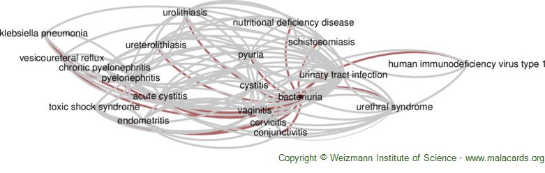 Diseases related to Bacteriuria
