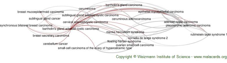 Diseases related to Bartholin's Gland Adenoid Cystic Carcinoma