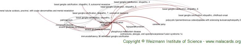 Diseases related to Basal Ganglia Calcification
