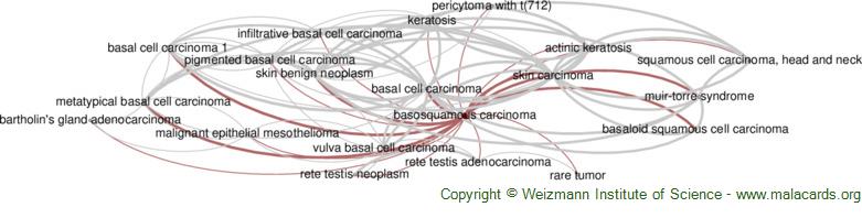 Diseases related to Basosquamous Carcinoma