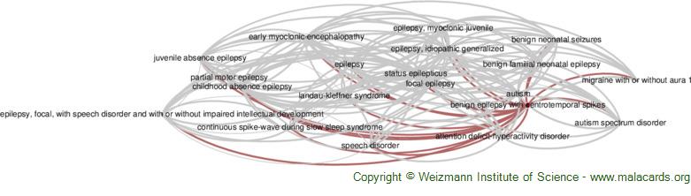 Diseases related to Benign Epilepsy with Centrotemporal Spikes