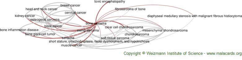 Diseases related to Bone Sarcoma