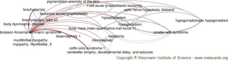 Diseases related to Borjeson-Forssman-Lehmann Syndrome