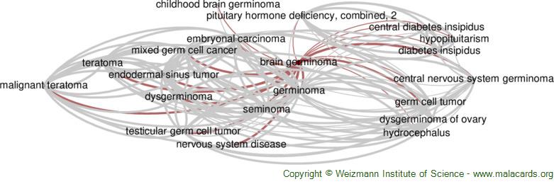 Diseases related to Brain Germinoma