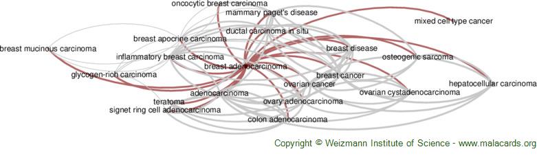 Diseases related to Breast Adenocarcinoma