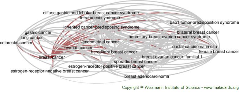 Diseases related to Breast Cancer