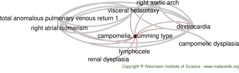 Diseases related to Campomelia, Cumming Type