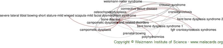 Diseases related to Campomelic Dysplasia and Related Disorders