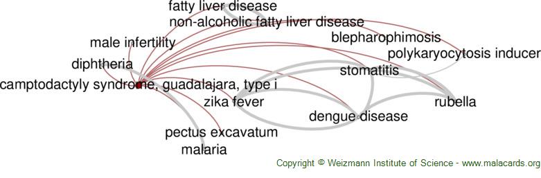 Diseases related to Camptodactyly Syndrome, Guadalajara, Type I