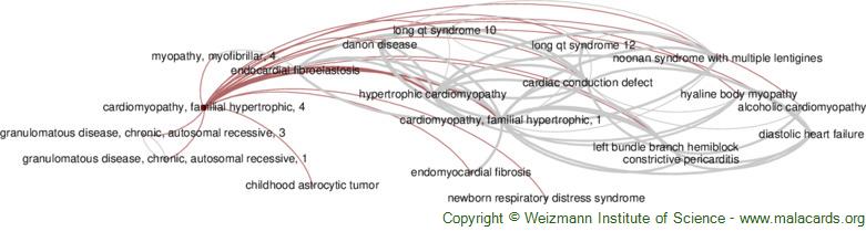 Diseases related to Cardiomyopathy, Familial Hypertrophic, 4
