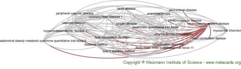 Diseases related to Cardiovascular System Disease
