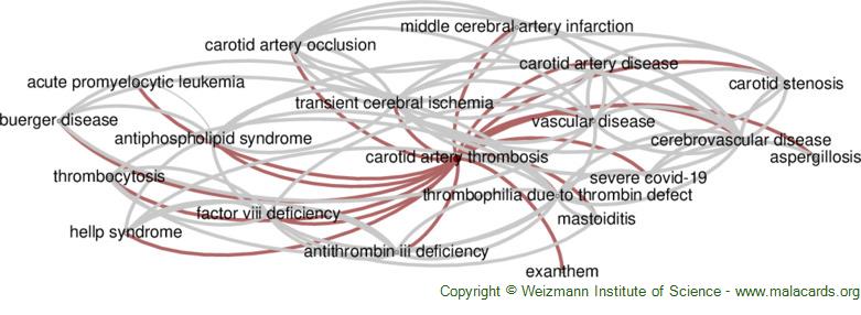 Diseases related to Carotid Artery Thrombosis