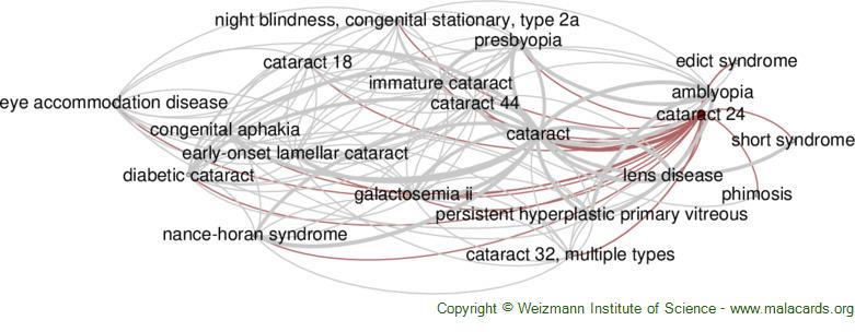Diseases related to Cataract 24