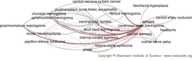 Diseases related to Cavernous Sinus Meningioma