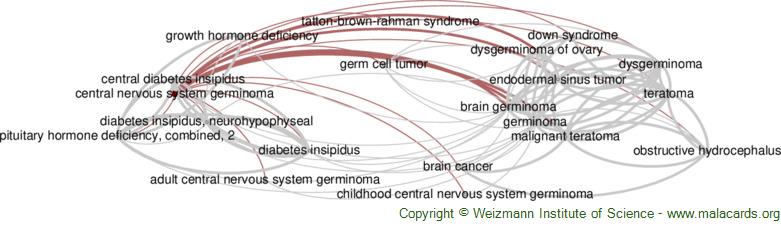 Diseases related to Central Nervous System Germinoma